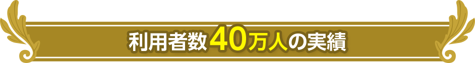 利用者数40万人の実績