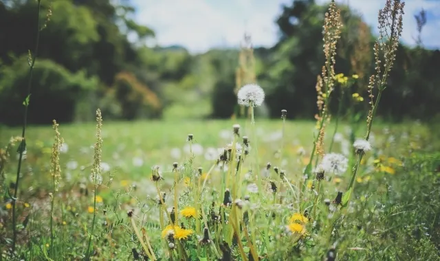 売れない田舎の遊休地を「負の資産」から解放する賢い活用術