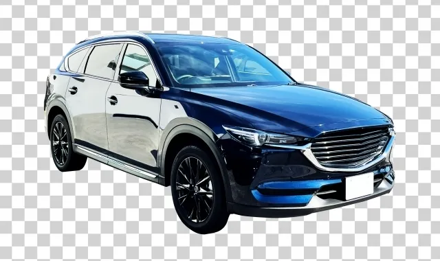 海外赴任のリロケーション時の車の扱い